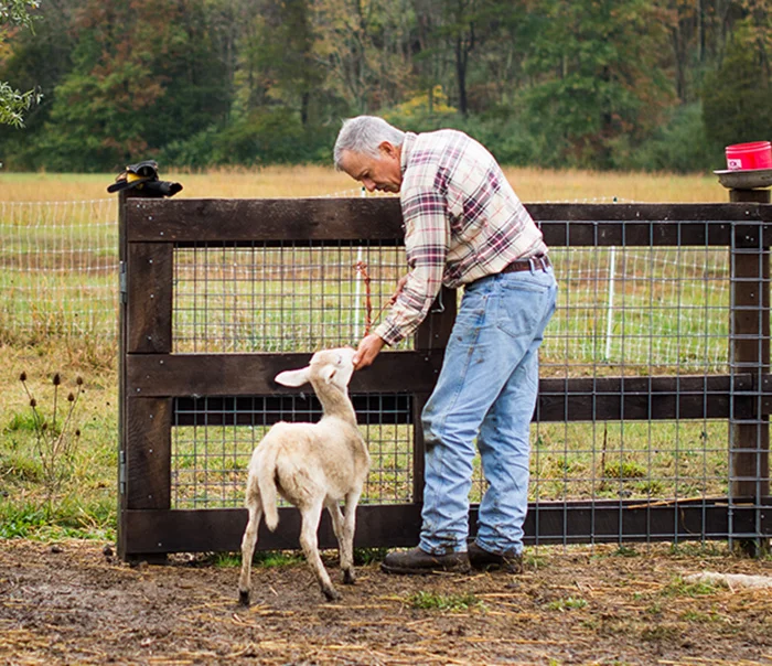Regenerative Farming In India: Restoring Soil, Securing The Future